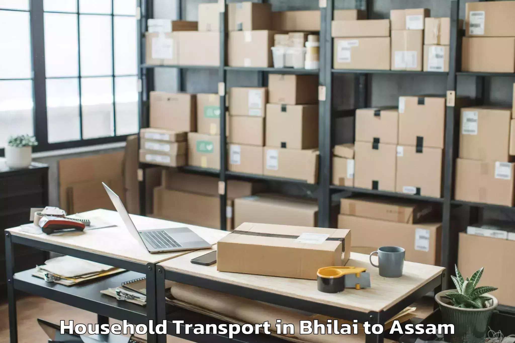 Book Bhilai to Abhayapuri Household Transport Online